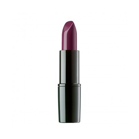 PERFECT COLOR LIPSTICK Nº29 BLACK CHERRY QUEEN